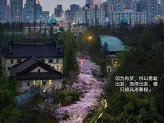 -城南往事·鲁菜济南菜(长清园博园恒大绿洲店)