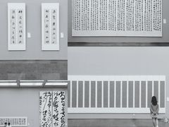 -四川美术馆