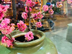 -囿面传统制面馆(中央路店)