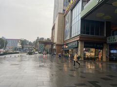 -茶颜悦色(花样汇店)