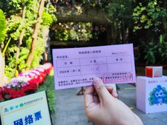 -西双版纳原始森林公园