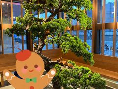 -松子料理(亮马桥店)
