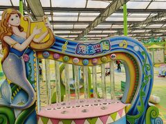-南宫五洲植物乐园