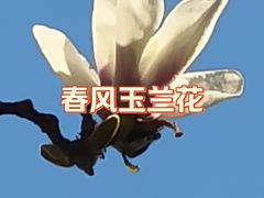 -真庆观
