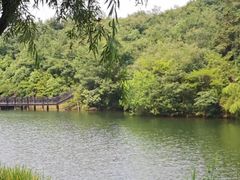 -白马涧龙池景区