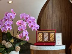 -广州白天鹅宾馆