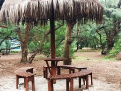 -北海金海湾红树林生态旅游区