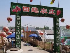 -田趣农庄草莓采摘园