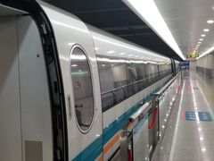 -浦东1号2号航站楼(地铁站)