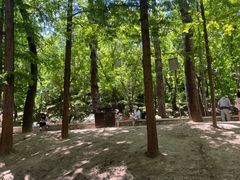 -白水寺森林公园