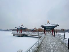 -长春市南湖公园