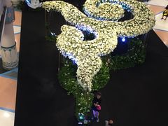 -尚泰清迈机场购物中心