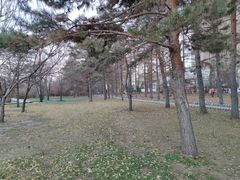 -长春公园(普阳街道)