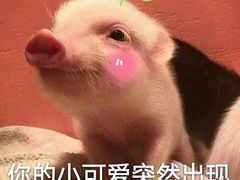 -湘与香缘·湖南菜(王府井北京市百货大楼店)