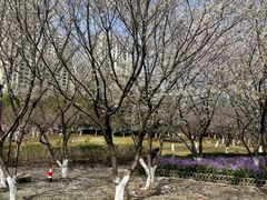 -白塘生态植物园
