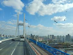 -BUS TOUR观光巴士