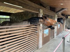 -珠海海泉湾神秘岛亲子乐园