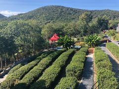 -汤山温泉房车营地 茶温泉