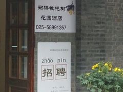 -两棵枇杷树