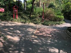 -成都市活水公园