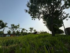 -北龙湖湿地公园