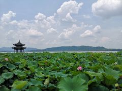-南方迷宗大包(湖滨店)