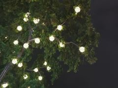 -蜜雪冰城·冰淇淋与茶(长郡中学店)