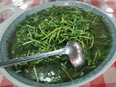 -绿草墩