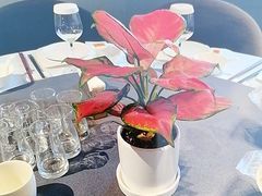 -一澜江宴·江景地标楚菜(江滩公园店)