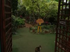 -呀路古热带植物园