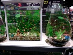 -酷乐潮玩(金桥国际店)