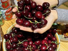 -贵木日本料理·铁板烧(新地假日广场店)