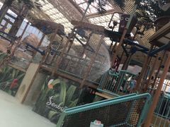 -杭州开元森泊度假乐园