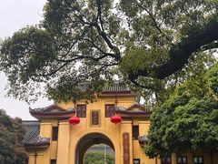 -东西巷