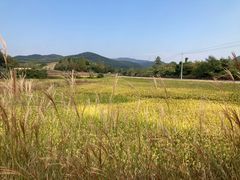 -良渚古城遗址公园