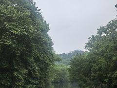 -阿哈湖国家湿地公园