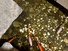 -邈墨茶馆(凤起路店)