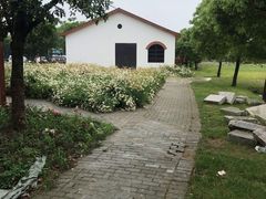 -鹅湖玫瑰文化园