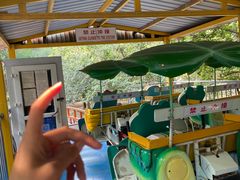 -朝阳公园游乐园