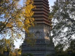 -玲珑塔公园