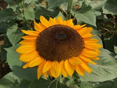 -宁波儿童公园(鄞州区)