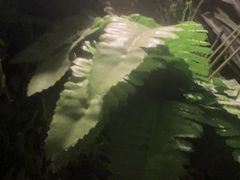 -和悦SPA·采耳(聚丰园路店)