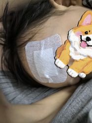 -上海交通大学医学院附属上海儿童医学中心(陆家嘴总院区)