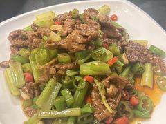 -魚當家