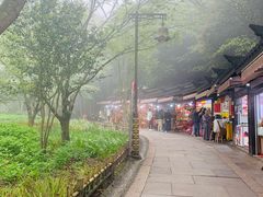 -普陀山慧济禅寺
