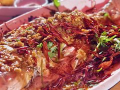 -向民炒鸡老店(金泰华府店)