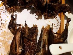 -食家鸽园
