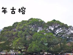 -乌山风景区