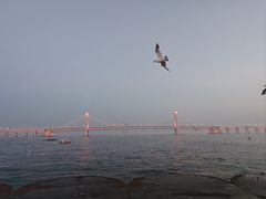 -星海广场