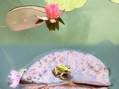 -国家植物园南园